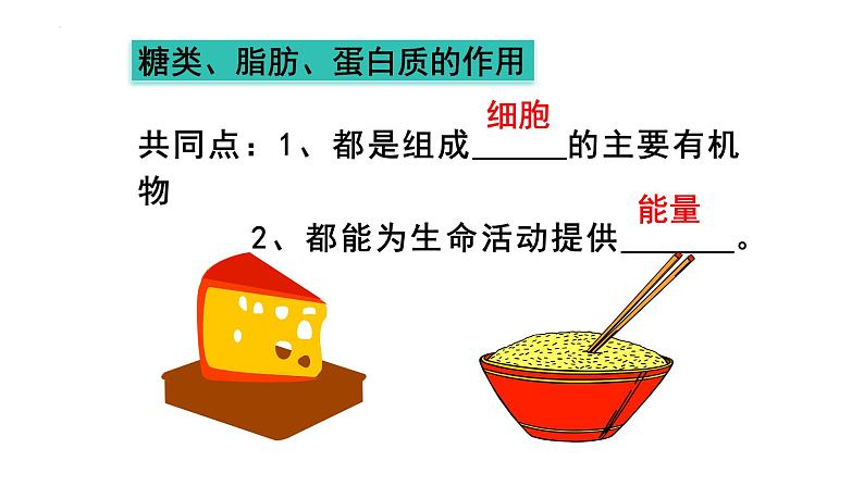 4.2.1++食物中的营养物质++课件-2023-2024学年人教版生物七年级下册第5页