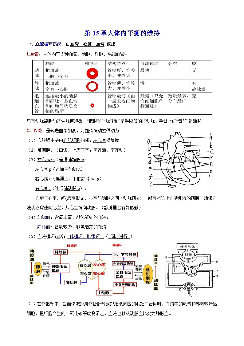 苏科版八年级上册生物第15章《人体内平衡的维持》 知识点讲义01