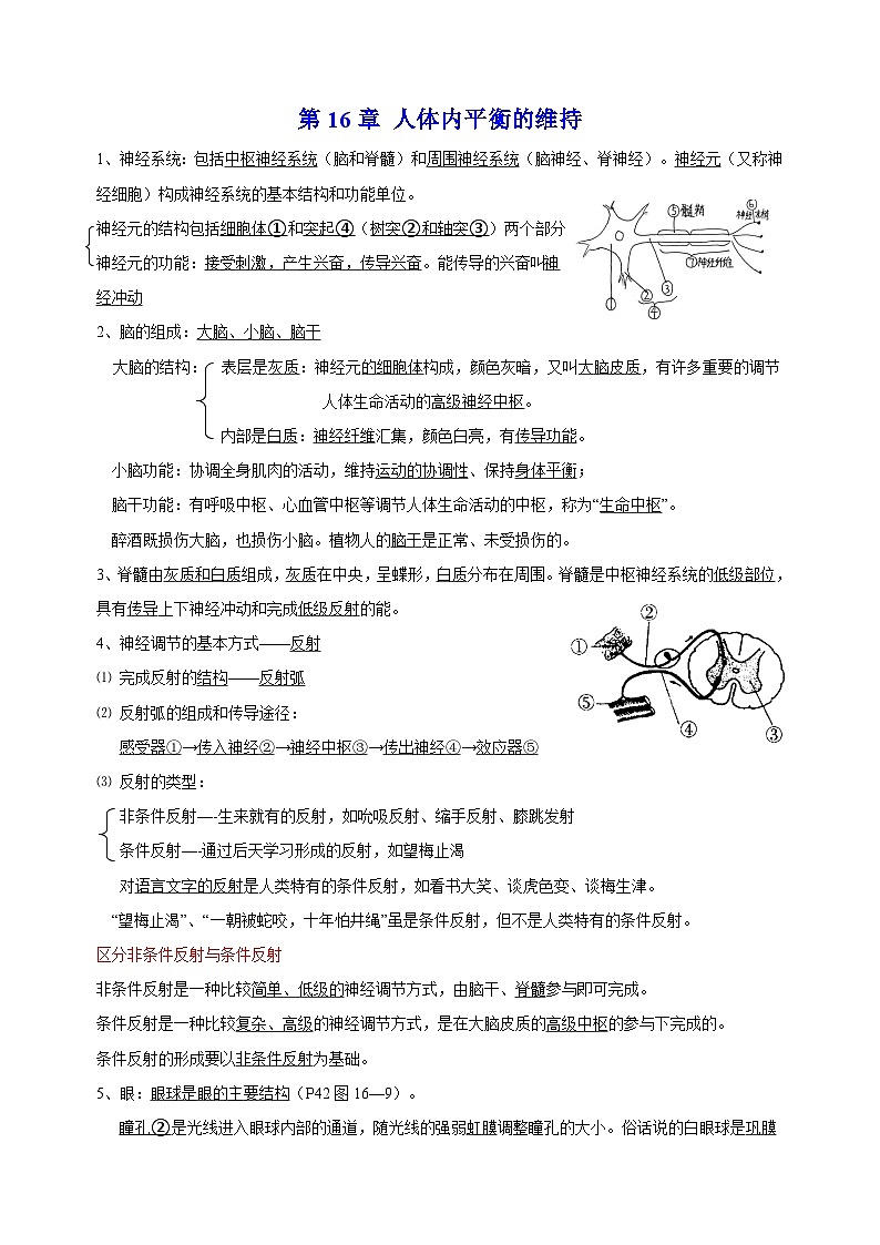 苏科版八年级上册生物第16章《人体生命活动的调节》 知识点讲义第1页