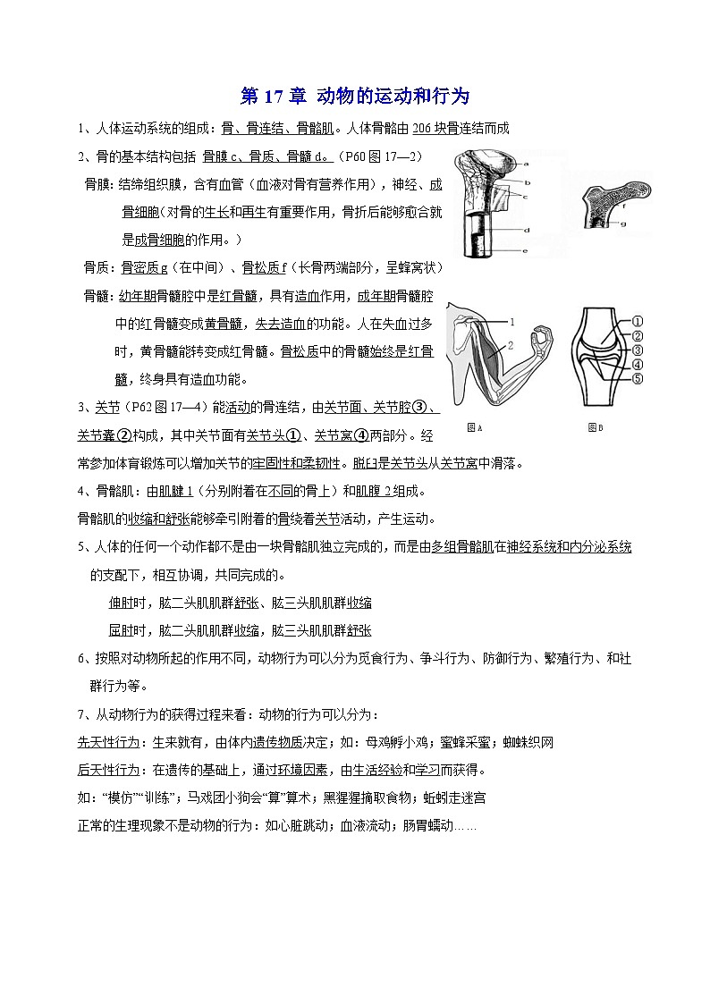 苏科版八年级上册生物第17章《动物的运动和行为》 知识点讲义第1页
