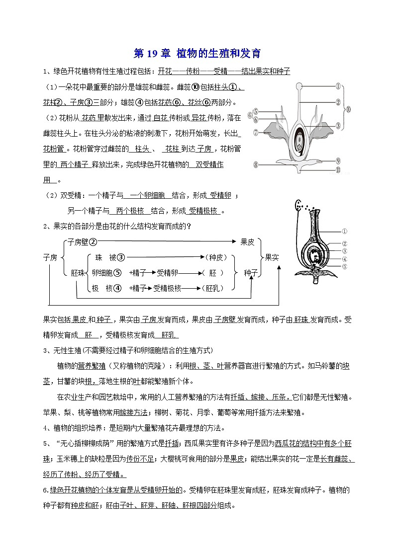 苏科版八年级上册生物第19章《植物的生殖和发育》 知识点讲义01