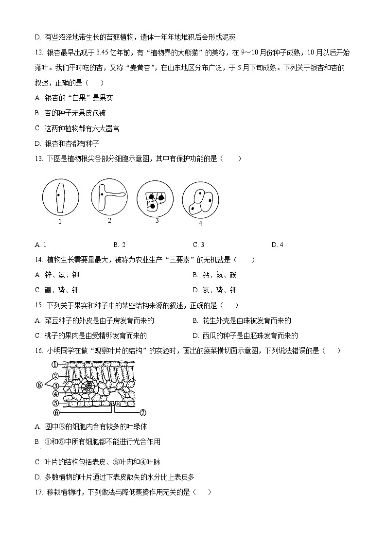 山东省临沂市沂水县2023-2024学年七年级上学期期末生物试题（原卷版+解析版）03