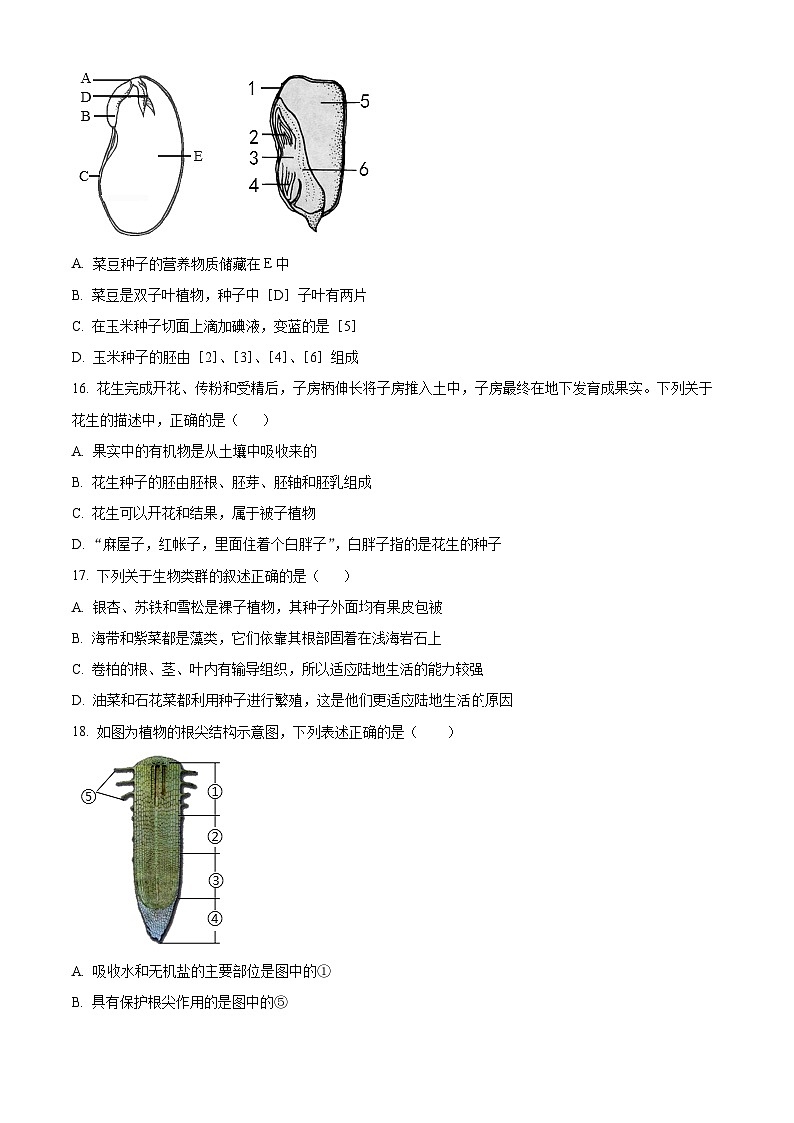 精品解析：陕西省宝鸡市渭滨区2023-2024学年七年级上学期期末生物试题（原卷版）第3页
