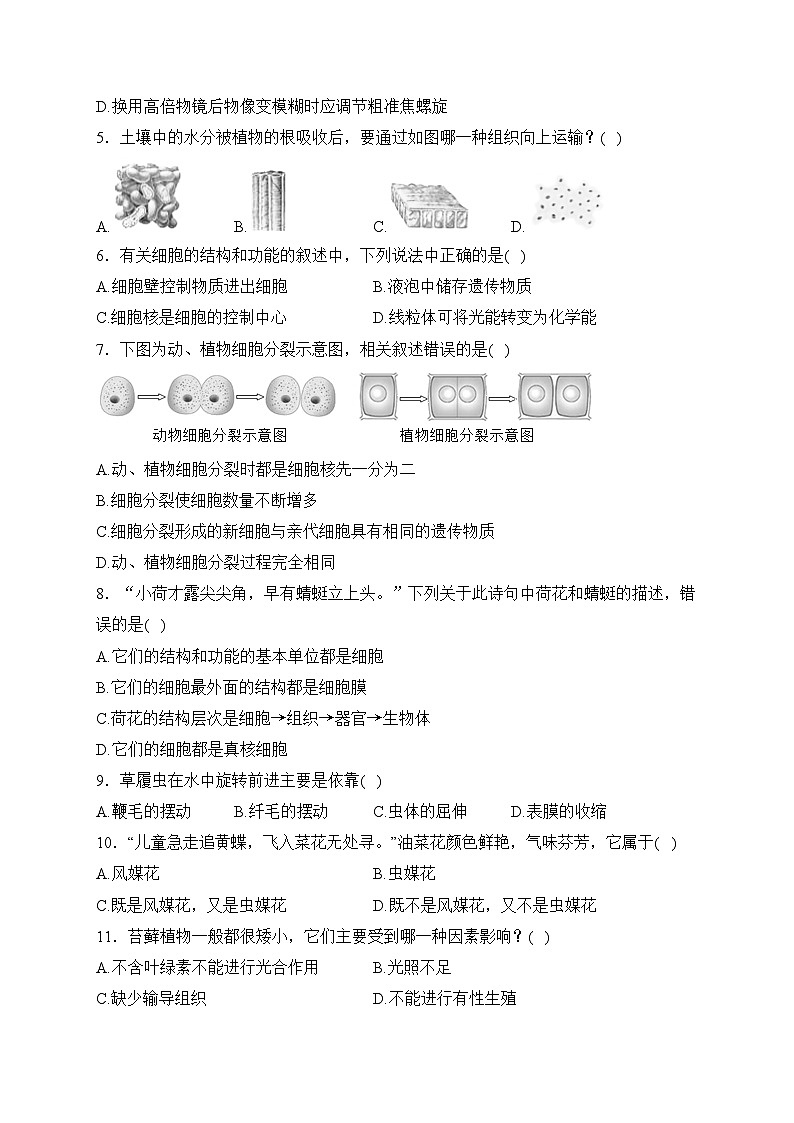 江西丰城中学2023-2024学年七年级上学期11月期中考试生物试卷(含答案)02