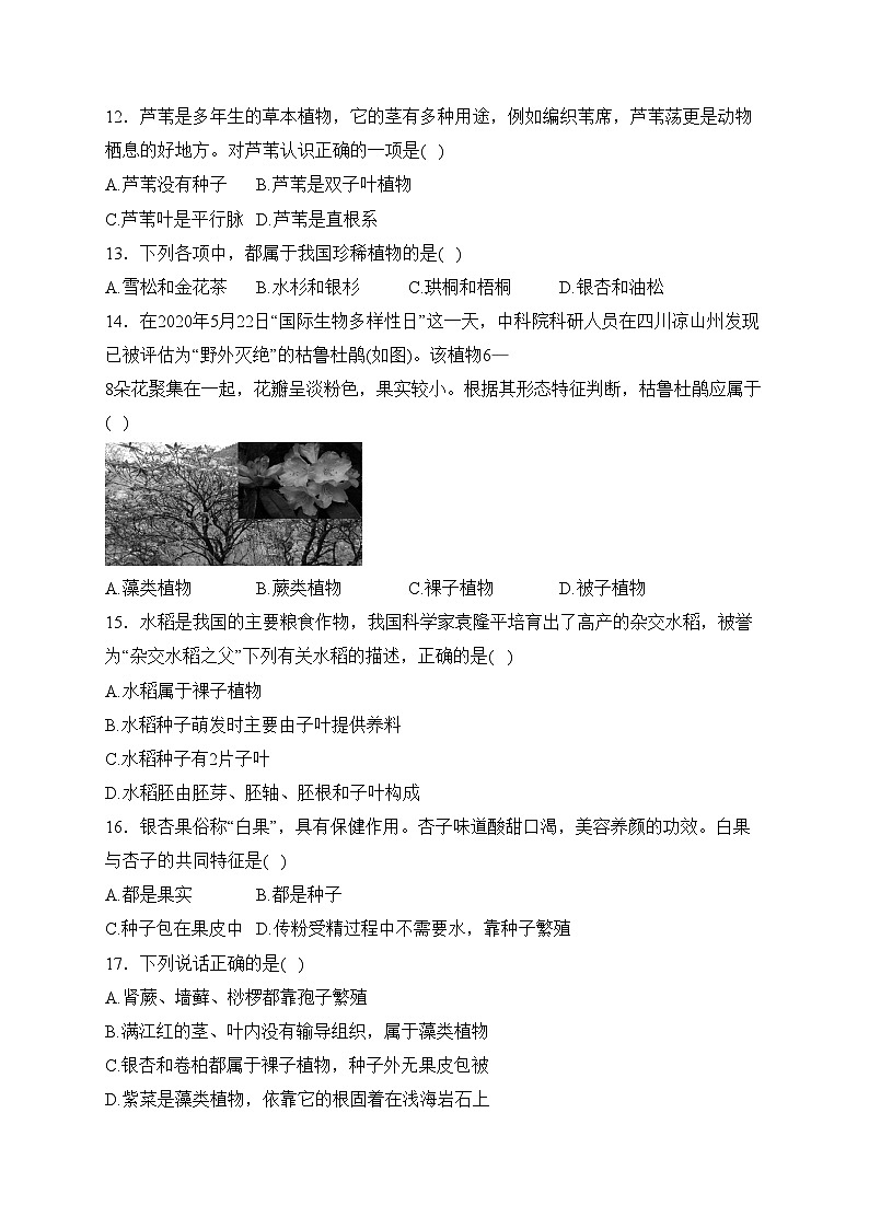 江西丰城中学2023-2024学年七年级上学期11月期中考试生物试卷(含答案)03