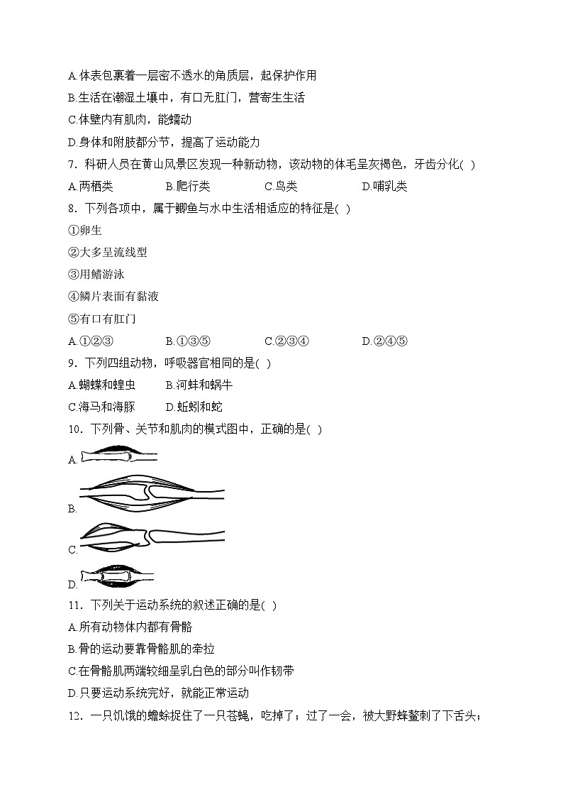 山东省聊城市阳谷县2023-2024学年八年级上学期期中学业水平检测与反馈生物试卷(含答案)第2页