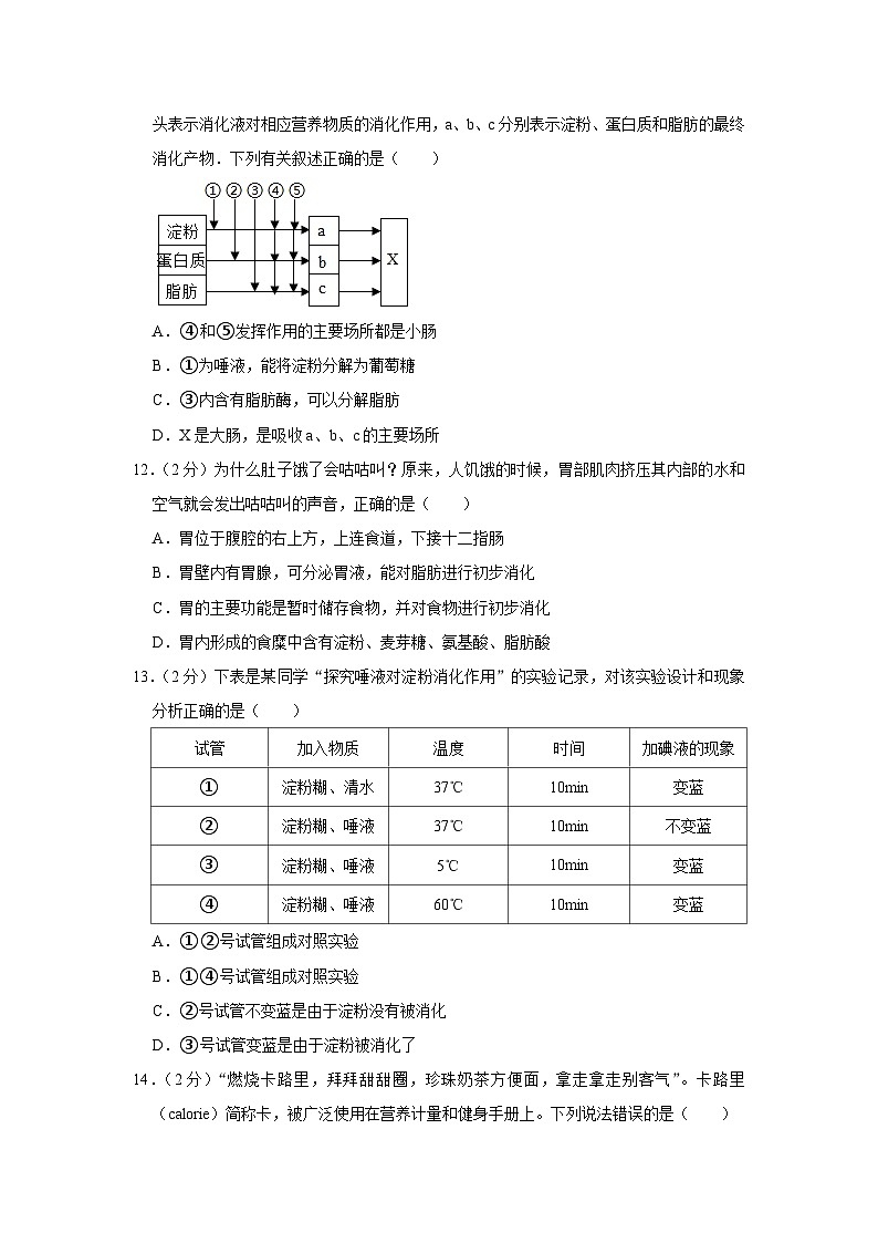 广东省惠州市惠城区马安中学2022-2023学年七年级下学期3月份月考生物试卷+第3页