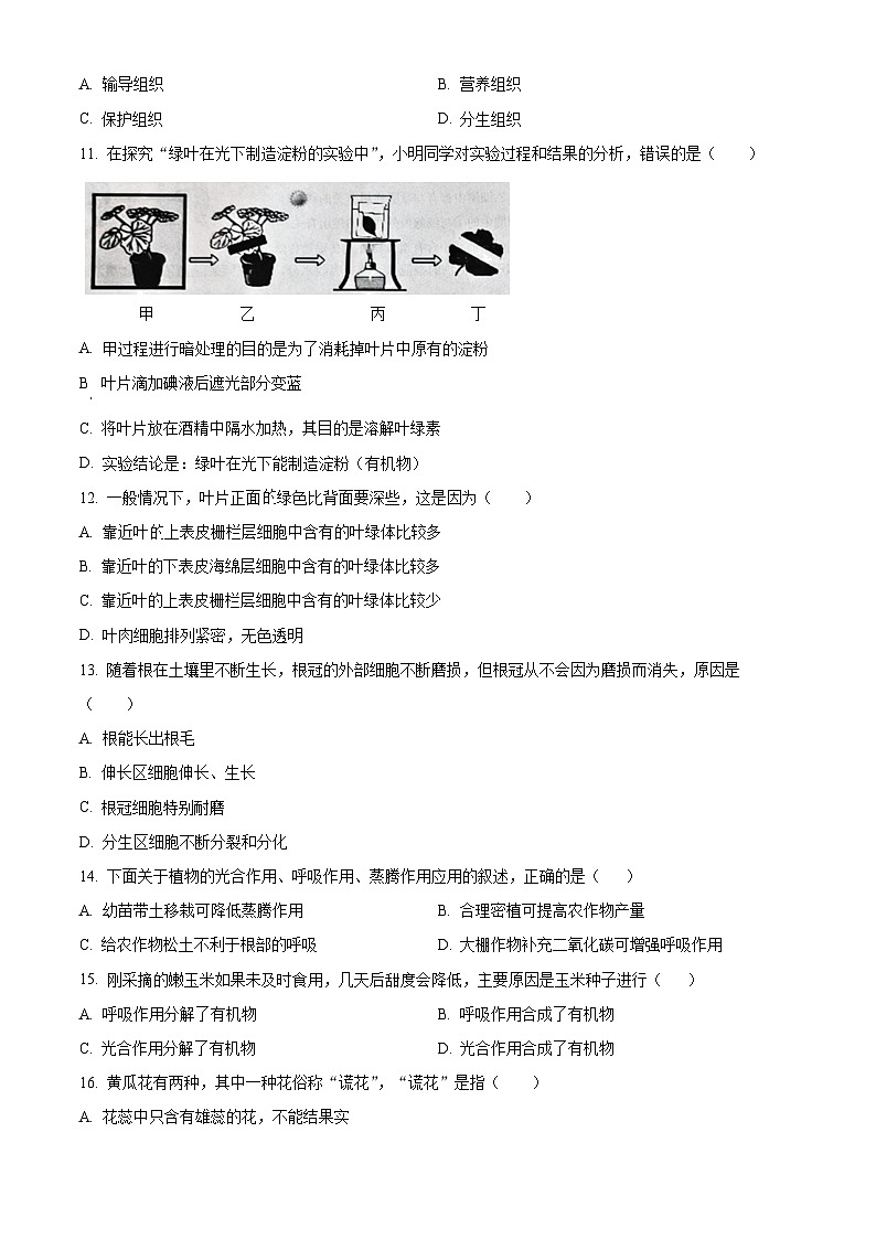 精品解析：辽宁省朝阳市朝阳县2023-2024学年七年级上学期期末生物试题（原卷版）第3页