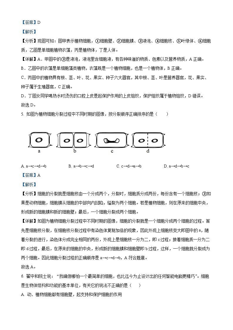 重庆市忠县2023-2024学年七年级上学期期末生物试题（原卷版+解析版）03