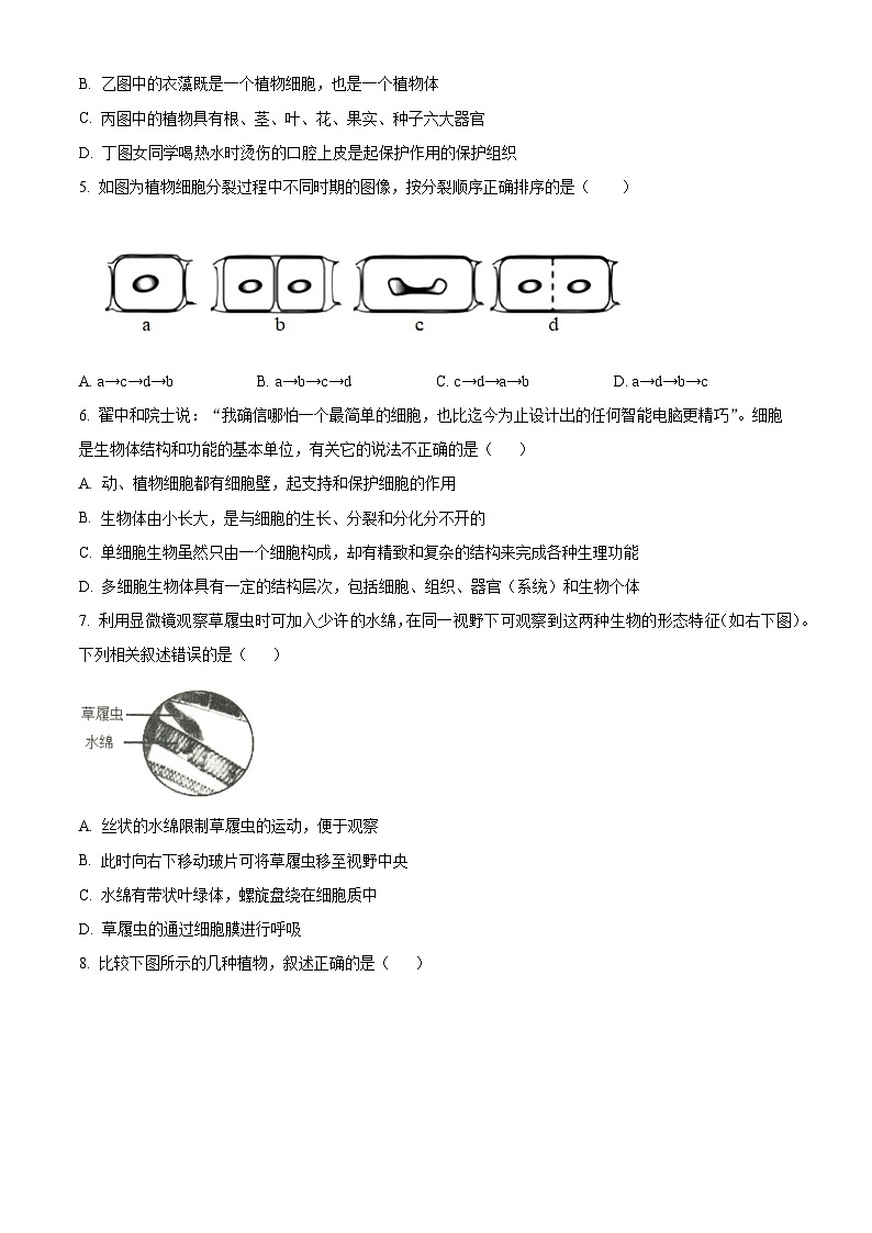 重庆市忠县2023-2024学年七年级上学期期末生物试题（原卷版+解析版）02
