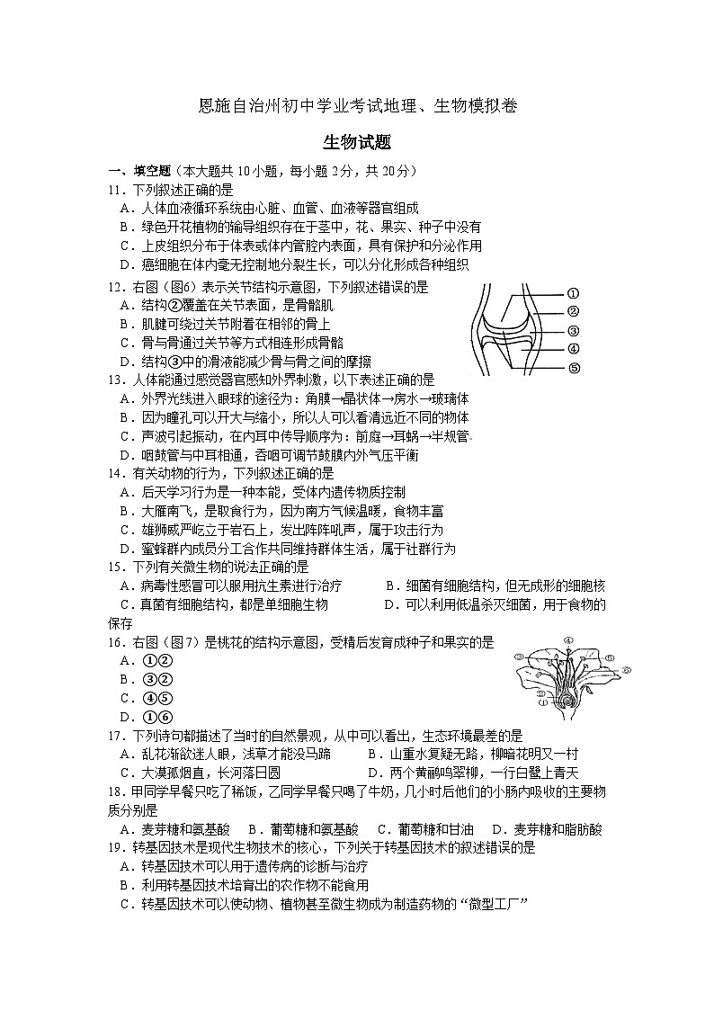 初中生物复习专题精讲 恩施自治州初中学业考试生物模拟卷（word版，含答案）第1页