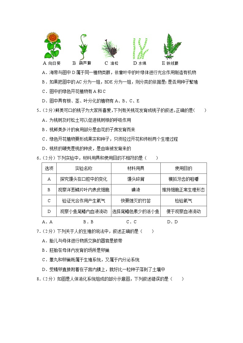 2023年湖北省十堰市丹江口市中考生物适应性试卷+02