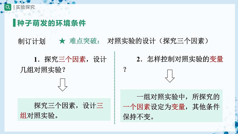 3.2.1 种子的萌发（第1课时）（教学课件） 第8页