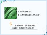 【人教版】七上生物   3.3 绿色植物与生物圈的水循环（第2课时）（课件+教案+导学案+练习）