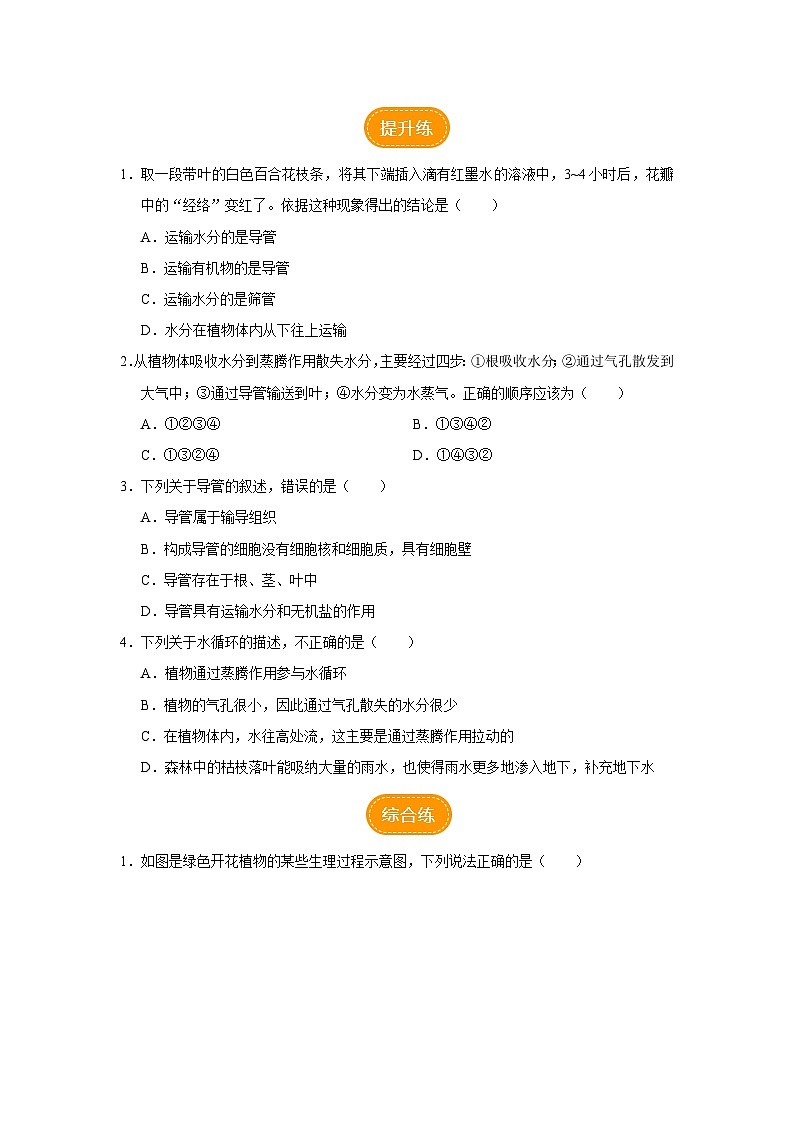 人教版七上生物   3.3 绿色植物与生物圈的水循环（第2课时） 课件+教案+练习+导学案02