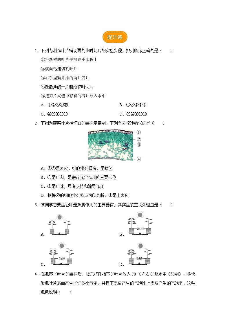 人教版七上生物   3.3 绿色植物与生物圈的水循环（第1课时） 课件+教案+练习+导学案02
