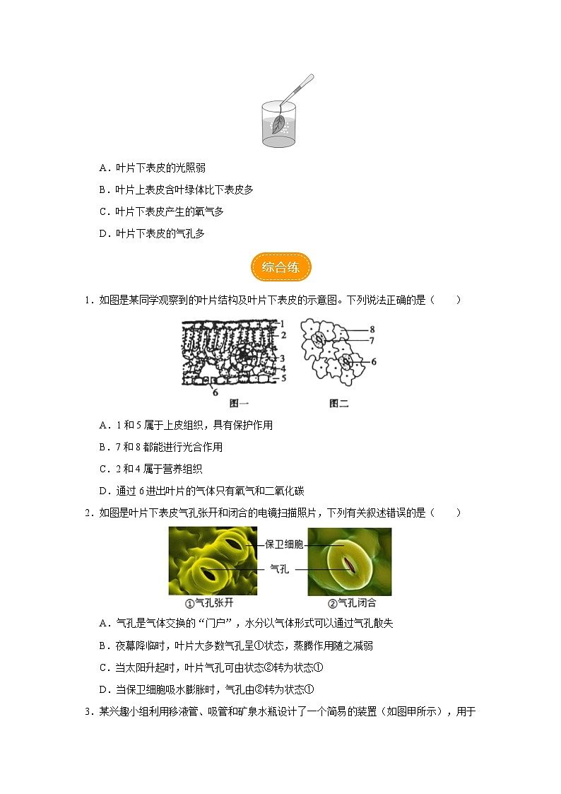 人教版七上生物   3.3 绿色植物与生物圈的水循环（第1课时） 课件+教案+练习+导学案03