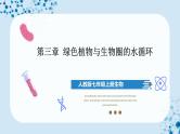 人教版七上生物   3.3 绿色植物与生物圈的水循环（第1课时） 课件+教案+练习+导学案