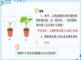 人教版七上生物   3.3 绿色植物与生物圈的水循环（第1课时） 课件+教案+练习+导学案