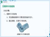 人教版七上生物   3.3 绿色植物与生物圈的水循环（第1课时） 课件+教案+练习+导学案