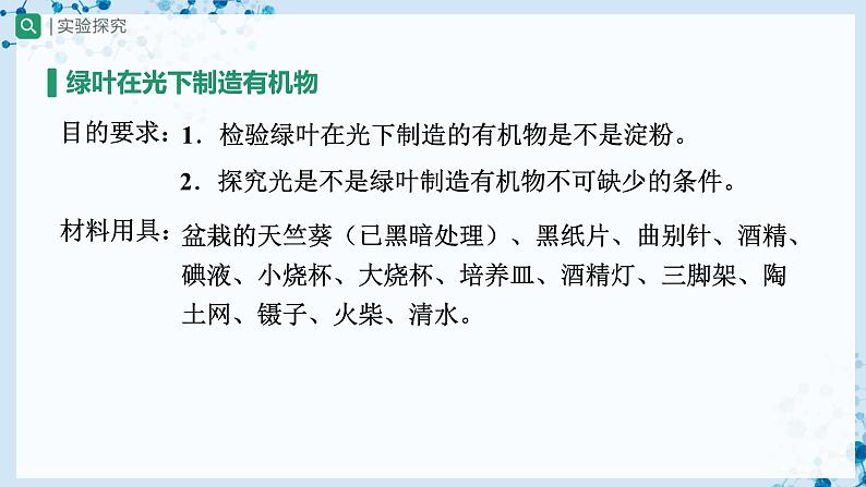 人教版七上生物   3.4 绿色植物是生物圈中有机物的制造者（第1课时） 课件+教案+练习+导学案04