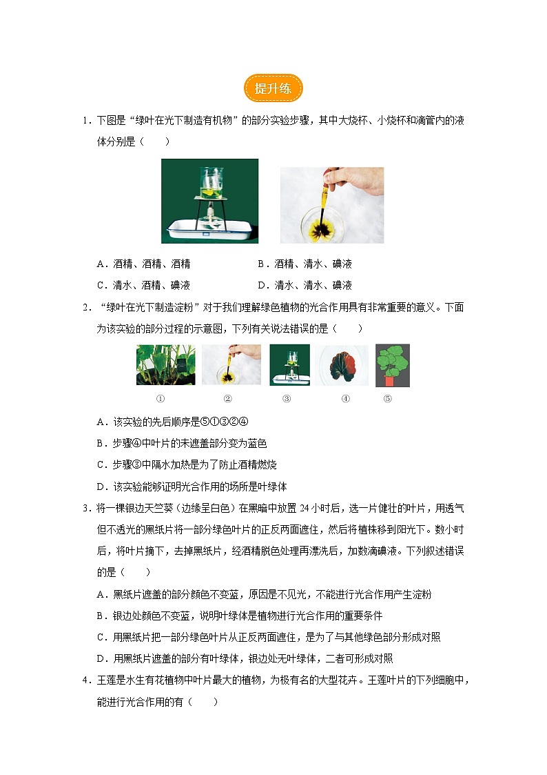 人教版七上生物   3.4 绿色植物是生物圈中有机物的制造者（第1课时） 课件+教案+练习+导学案02