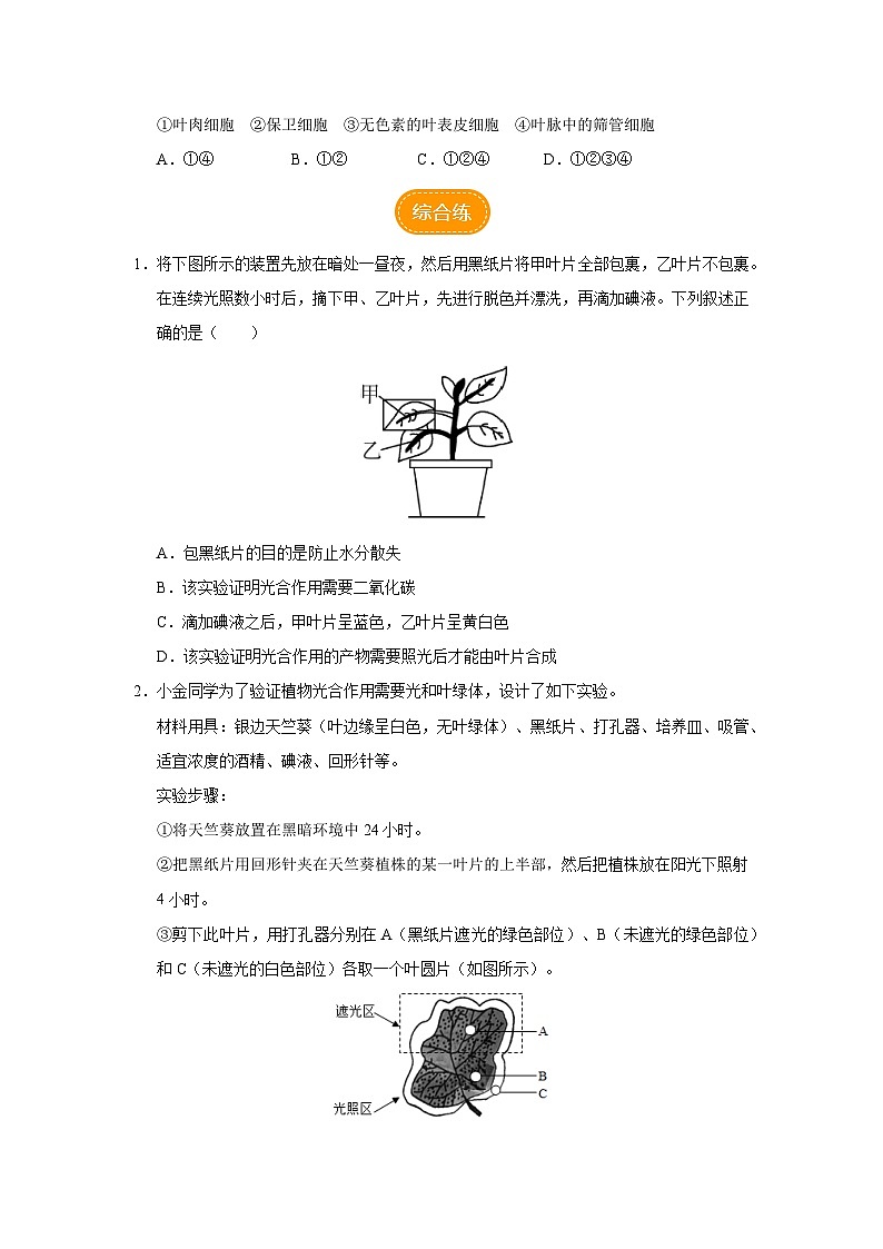 人教版七上生物   3.4 绿色植物是生物圈中有机物的制造者（第1课时） 课件+教案+练习+导学案03