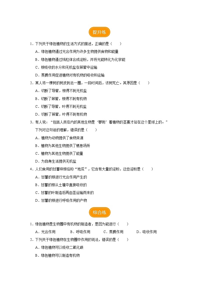 人教版七上生物   3.4 绿色植物是生物圈中有机物的制造者（第2课时） 课件+教案+练习+导学案02