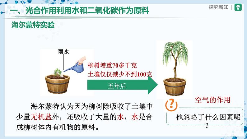 人教版七上生物   3.5.1 光合作用吸收二氧化碳释放氧气（第1课时） 课件+教案+练习+导学案04