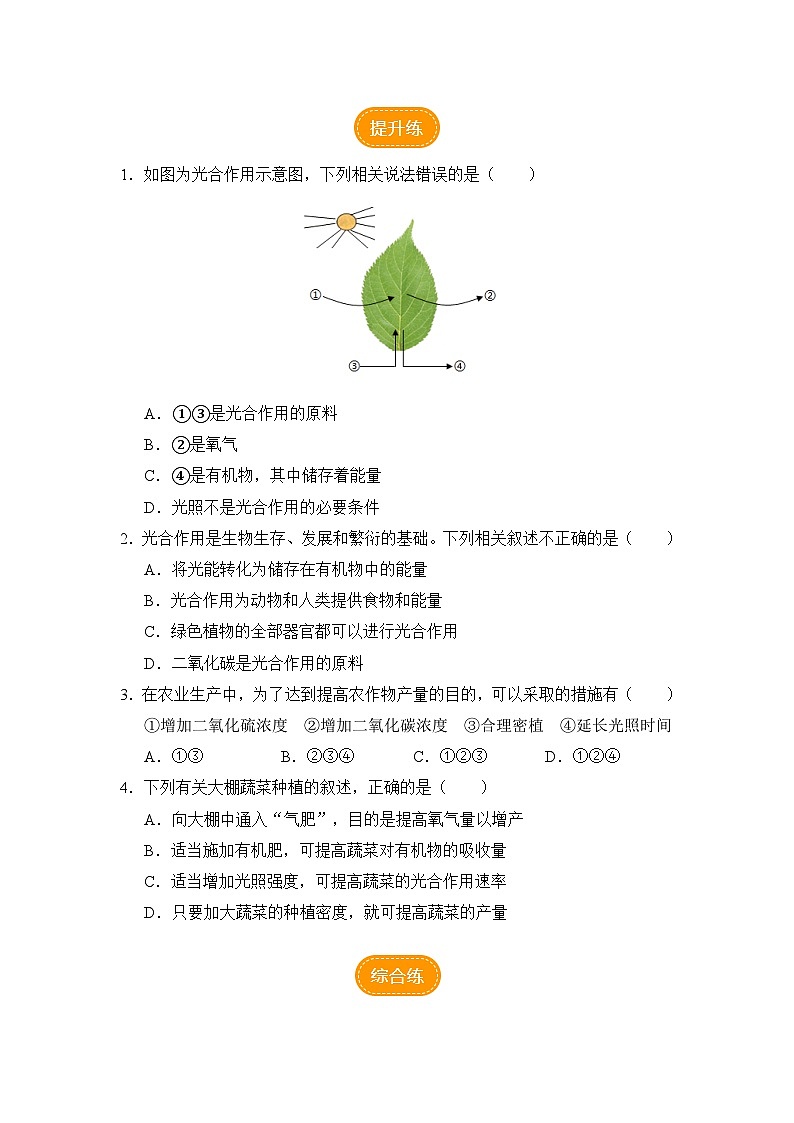 人教版七上生物   3.5.1 光合作用吸收二氧化碳释放氧气（第2课时） 课件+教案+练习+导学案02