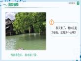 人教版七上生物   3.1.1 藻类、苔藓和蕨类植物 课件+教案+练习+导学案