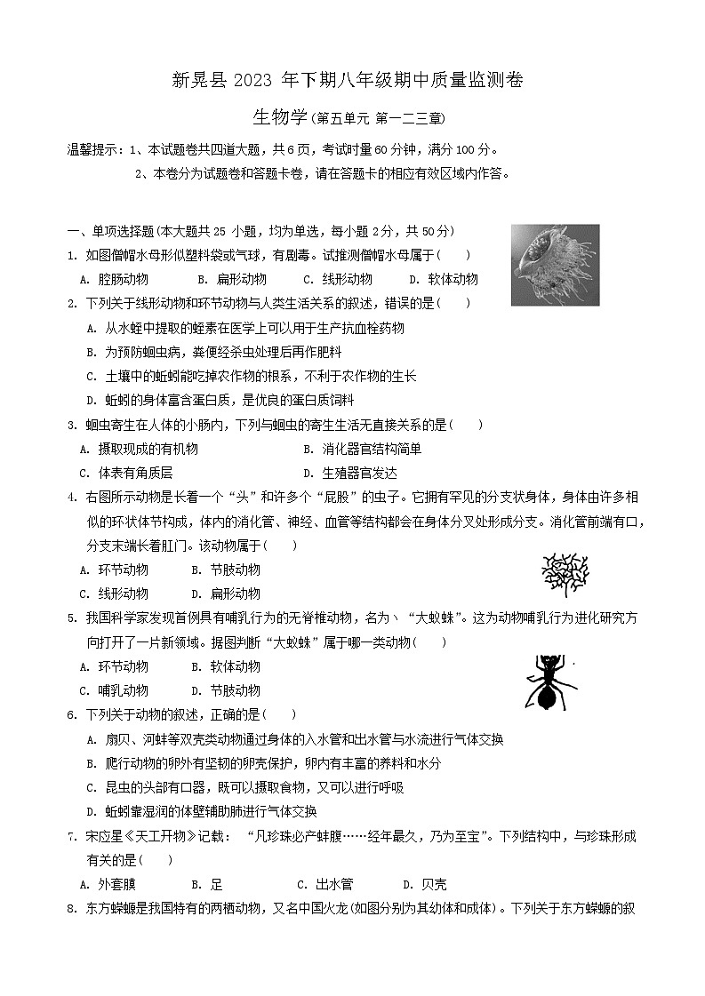 湖南省怀化市新晃侗族自治县2023-2024学年八年级上学期期中生物试题第1页