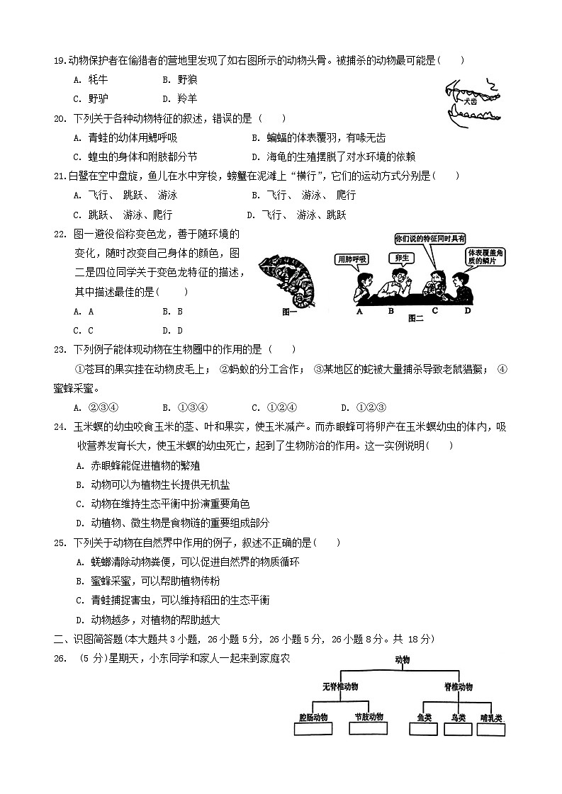 湖南省怀化市新晃侗族自治县2023-2024学年八年级上学期期中生物试题第3页