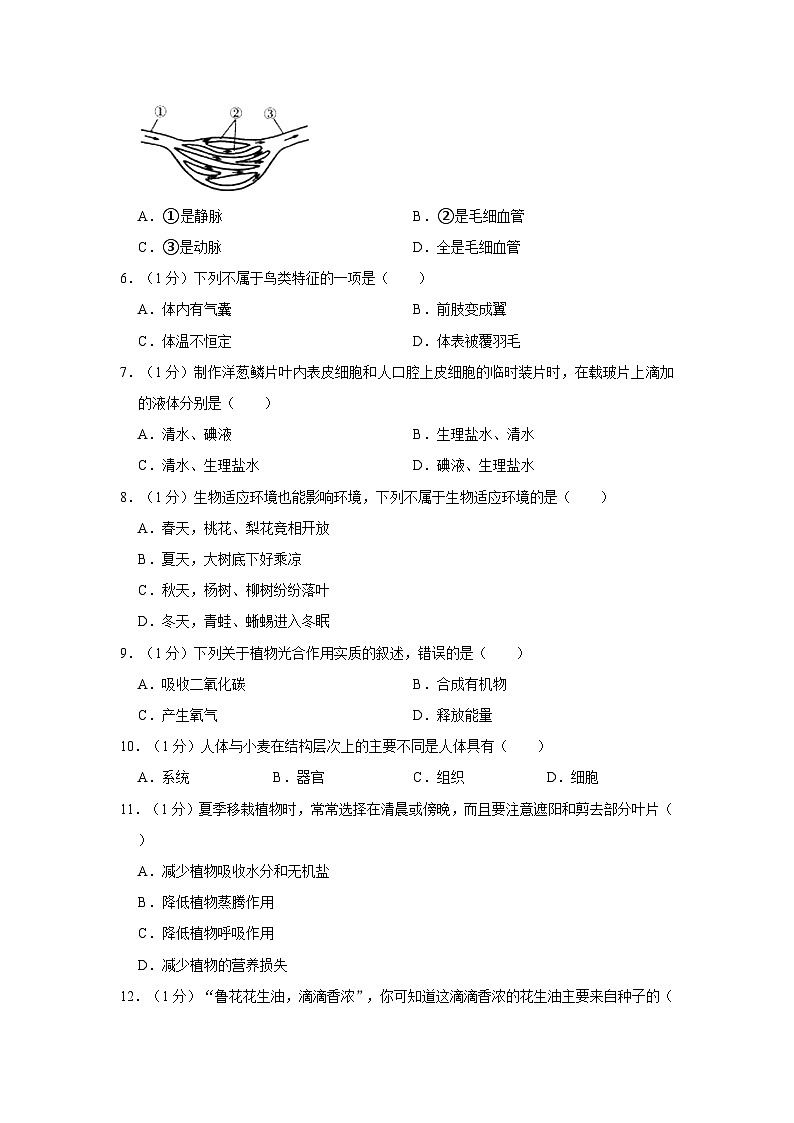 甘肃省庆阳市西峰区黄官寨实验学校2022-2023学年八年级下学期第一次月考生物试卷第2页