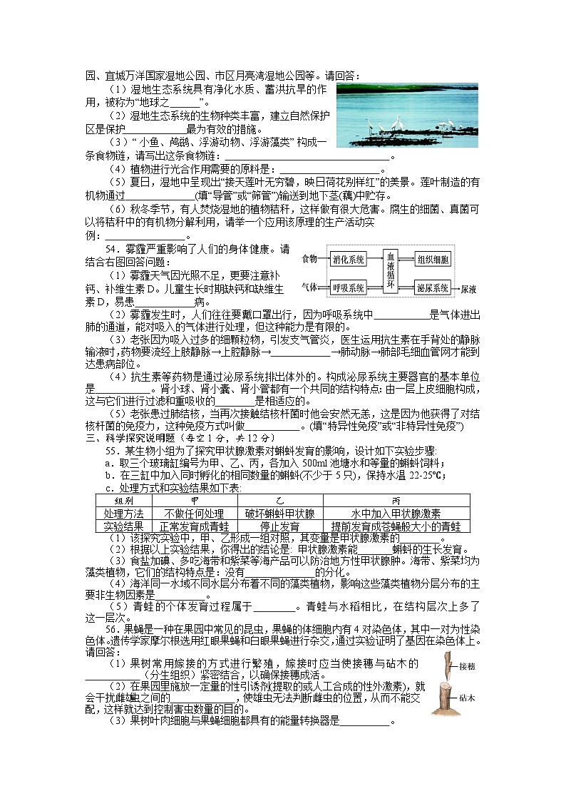 【全套精品专题】初中生物复习专题精讲 襄阳市初中毕业生学业水平考试模拟试卷（word版，含答案）第2页