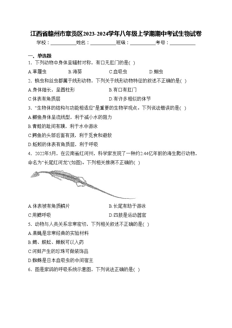 江西省赣州市章贡区2023-2024学年八年级上学期期中考试生物试卷(含答案)01