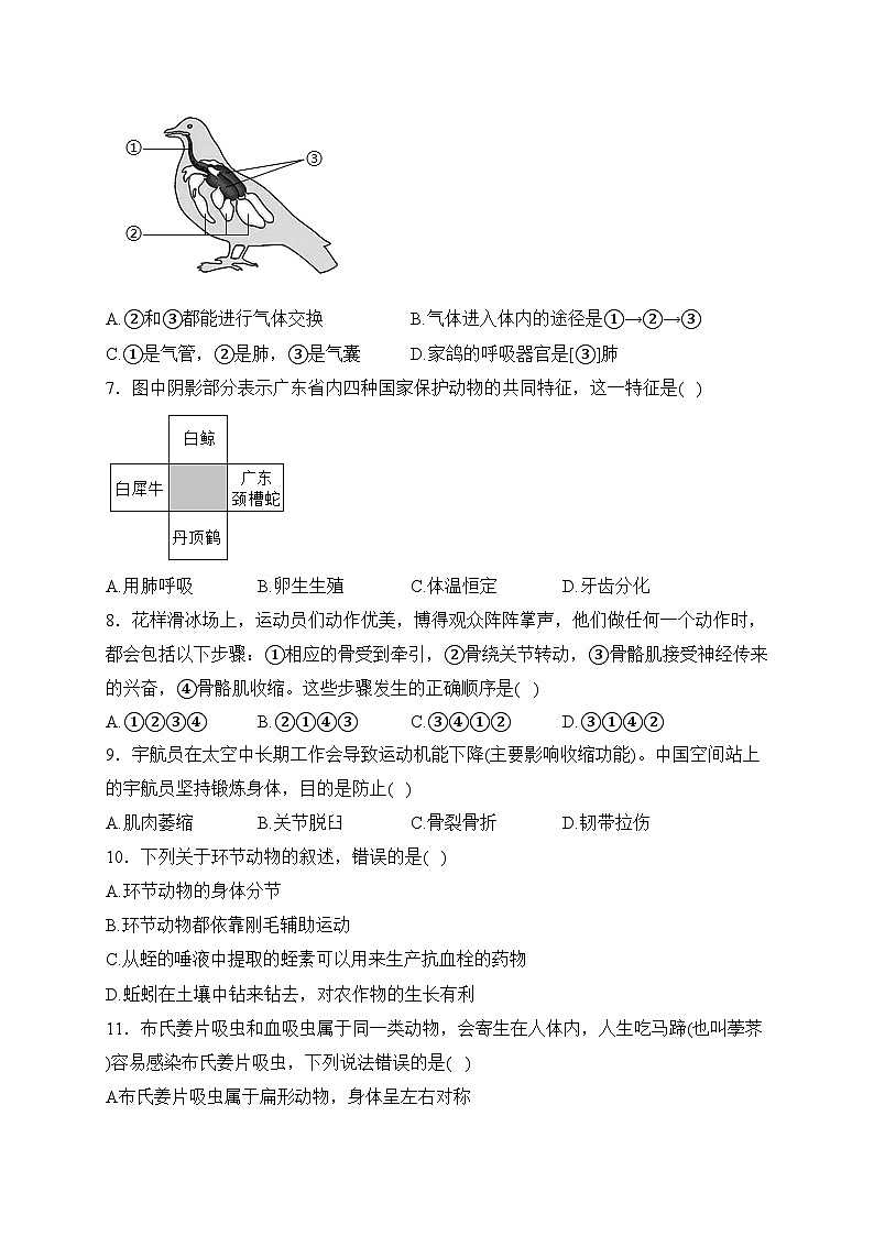 江西省赣州市章贡区2023-2024学年八年级上学期期中考试生物试卷(含答案)02