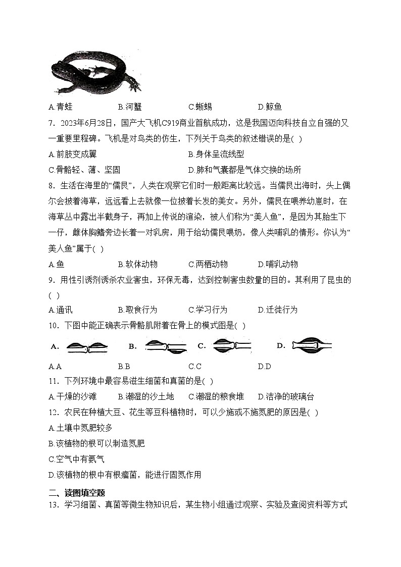 辽宁省葫芦岛市建昌县2023-2024学年八年级上学期期末检测生物试卷(含答案)02
