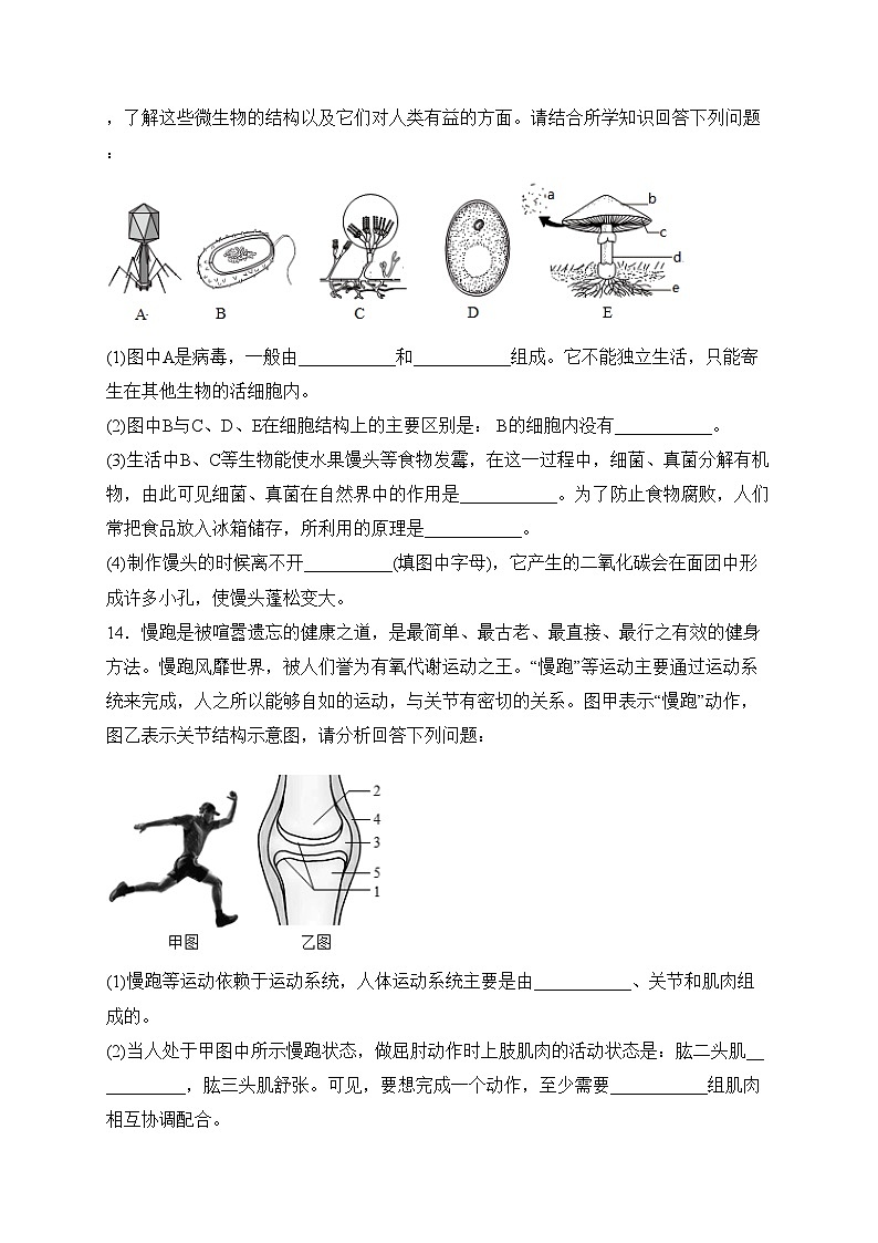 辽宁省葫芦岛市建昌县2023-2024学年八年级上学期期末检测生物试卷(含答案)03