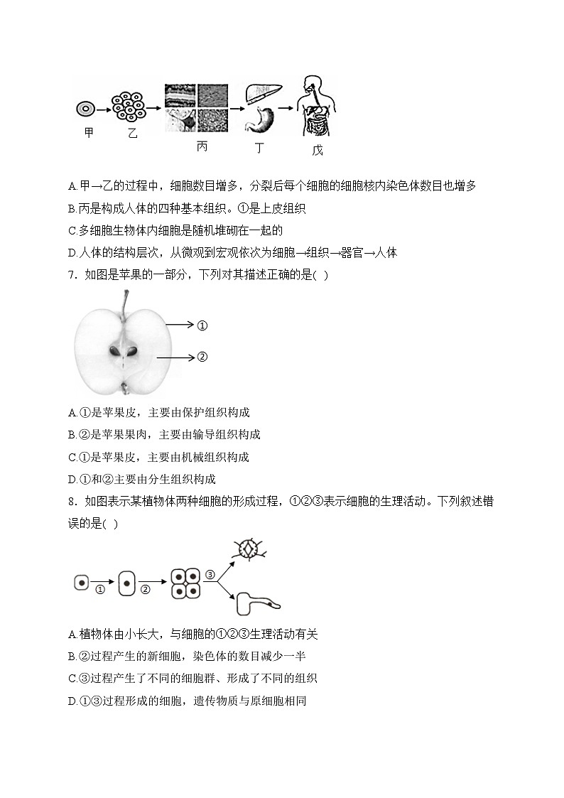 辽宁省锦州市凌海市2023-2024学年七年级上学期期中质量检测生物试卷(含答案)02
