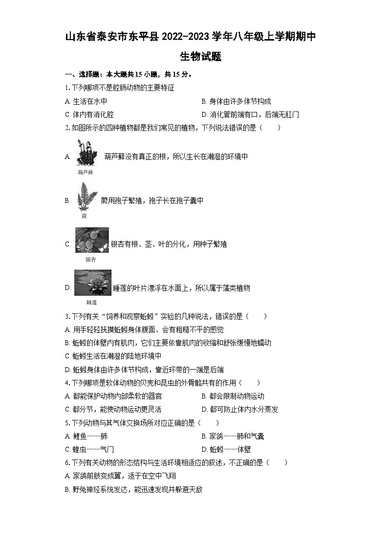 山东省泰安市东平县2022-2023学年八年级上学期期中生物试题01