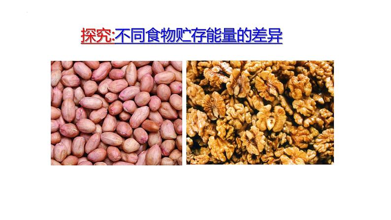 10.1++食物中能量的释放++课件-2022-2023学年北师大版生物七年级下册第4页