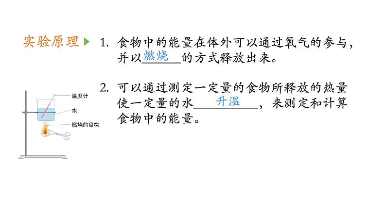 10.1++食物中能量的释放++课件-2022-2023学年北师大版生物七年级下册第5页