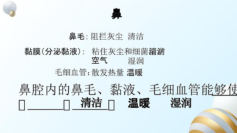 3.1.1呼吸道和肺的功能课件2023--2024学年冀少版生物七年级下册06