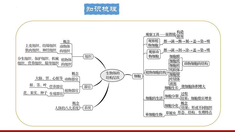 专题一 生物体的结构层次课件PPT02