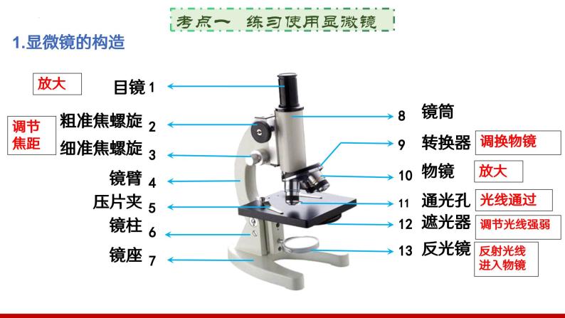 专题一 生物体的结构层次课件PPT03