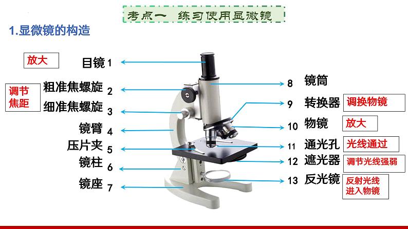 专题一 生物体的结构层次课件PPT03