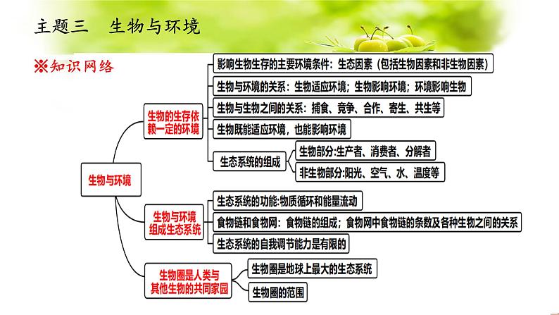 主题三生物与环境课件PPT第3页