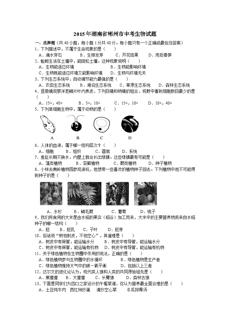 【全套精品专题】初中生物复习专题精讲湖南郴州中考生物模拟试题（word版，含解析）01