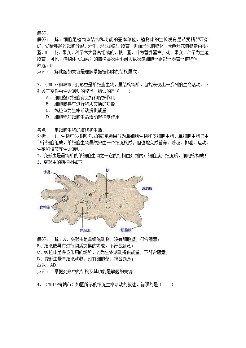 安徽省桐城市八年级学业水平考试生物模拟试题（word版，含解析）第2页